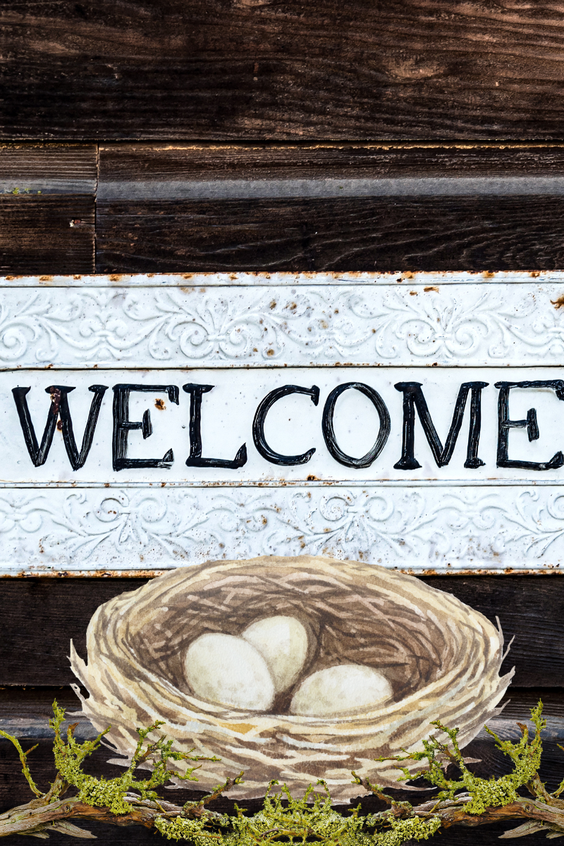Welcome to the Nest!
